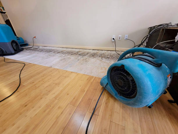 Professional Flood Damage Cleanup technician working in Coral Springs, FL